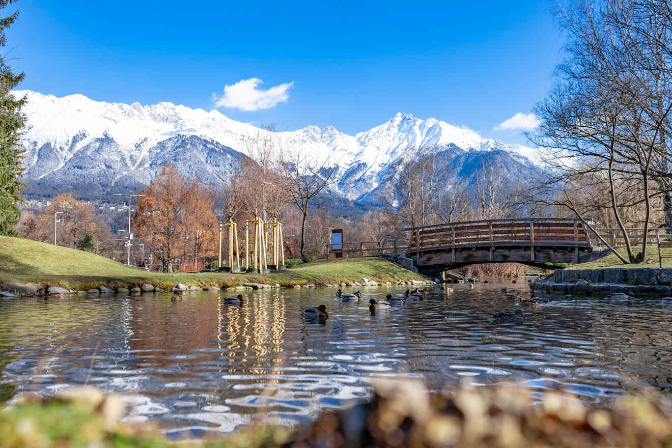 Peaceful park in Innsbruck with a tranquil pond, a wooden bridge, ducks swimming, and the stunning Alps towering in the distance